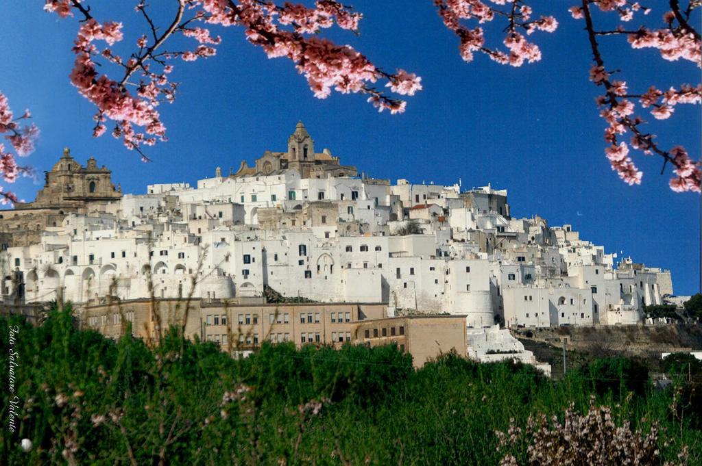 Albachiara Bed & Breakfast Monopoli Exterior photo