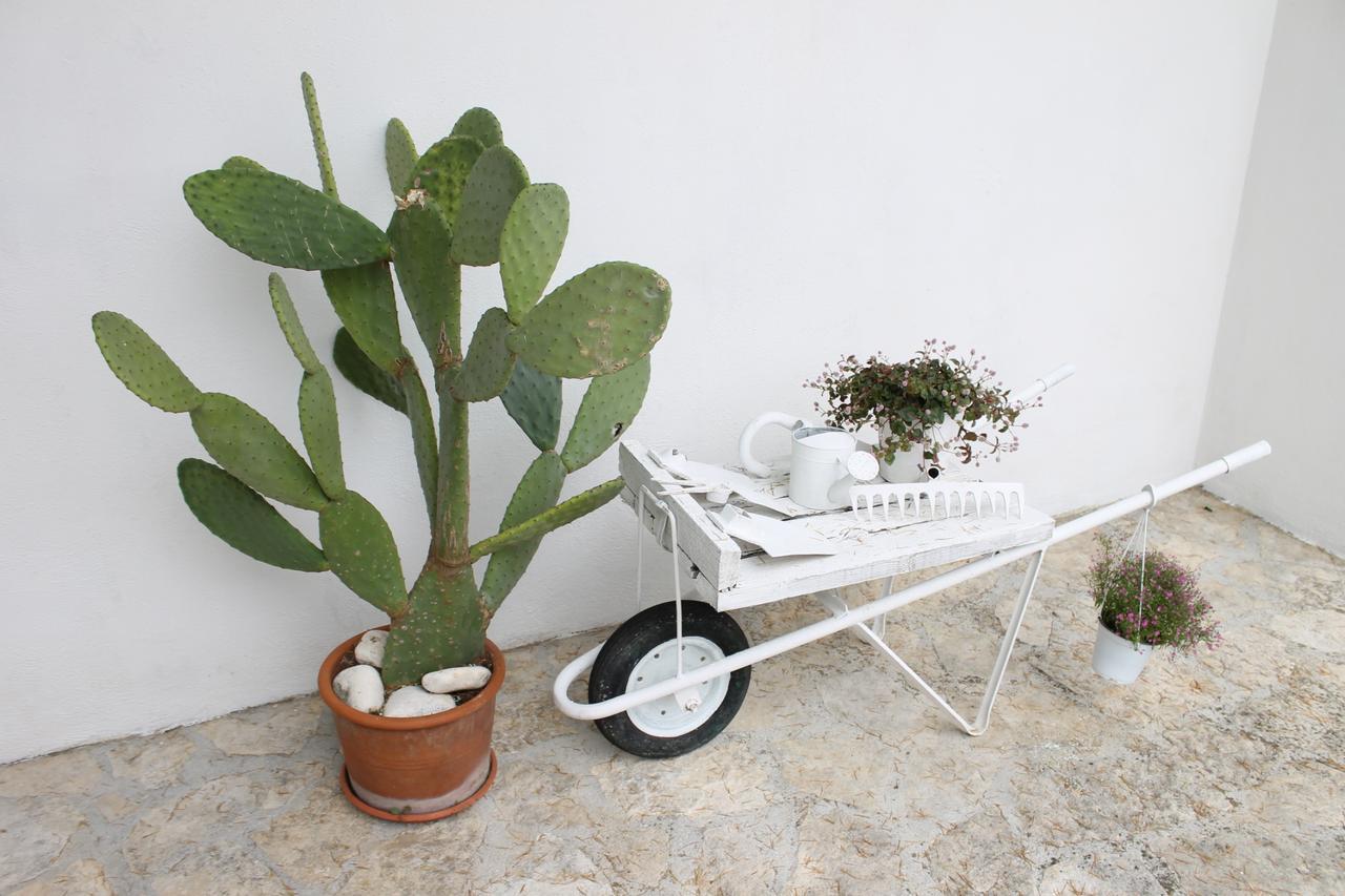 Albachiara Bed & Breakfast Monopoli Exterior photo